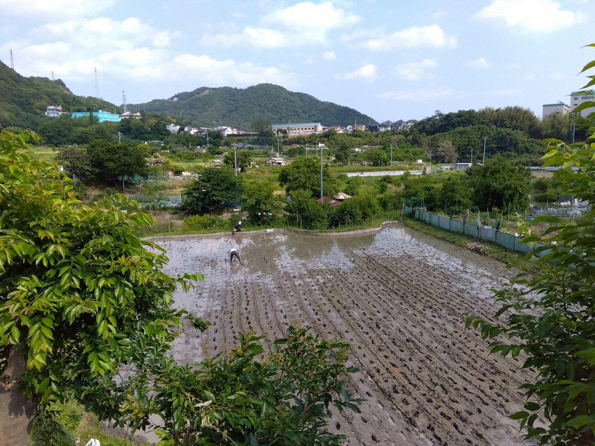 ナスとトマトを植えて、草をかけました。
20人以上来られていて、本格的な田植え・農作業でした。