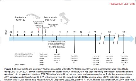#unaimagentropi

🔎Interesante evolucion de un caso de Oropouche y su presencia en semen

pmc.ncbi.nlm.nih.gov/articles/PMC11…