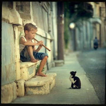 The Pied Pipers Patriots (@piedpiperofx) on Twitter photo 🪈 The Pied Piper’s Loyal Chorus – 921 🪈
"Join the tune or get left in the silence"
<a href="/blacklab_14/">🫵🇬🇧Dunky🏴🫵</a>
<a href="/EdTurner756064/">Ed Turner</a>
<a href="/JeannaSzymanski/">Jeanna 🇺🇸</a>
<a href="/JaxonX2002/">Lucason</a>
<a href="/PiedPiperofX/">The Pied Pipers Patriots</a>
<a href="/horsepower52/">SLICK RICK</a>
<a href="/cour99773/">Courtney feagin</a>
<a href="/smileyface970/">Gemi0618</a>
<a href="/SerenityMatrix7/">Clare707</a>
<a href="/chinchopper2/">007</a>
<a href="/RedFireWarrior/">KnightSails</a>
<a href="/ATruePatriot01/">Freedom Ring</a>
<a href="/WadeRoss331/">rosco331</a> 🪈 The Pied Piper’s Loyal Chorus – 921 🪈
"Join the tune or get left in the silence"
<a href="/blacklab_14/">🫵🇬🇧Dunky🏴🫵</a>
<a href="/EdTurner756064/">Ed Turner</a>
<a href="/JeannaSzymanski/">Jeanna 🇺🇸</a>
<a href="/JaxonX2002/">Lucason</a>
<a href="/PiedPiperofX/">The Pied Pipers Patriots</a>
<a href="/horsepower52/">SLICK RICK</a>
<a href="/cour99773/">Courtney feagin</a>
<a href="/smileyface970/">Gemi0618</a>
<a href="/SerenityMatrix7/">Clare707</a>
<a href="/chinchopper2/">007</a>
<a href="/RedFireWarrior/">KnightSails</a>
<a href="/ATruePatriot01/">Freedom Ring</a>
<a href="/WadeRoss331/">rosco331</a>