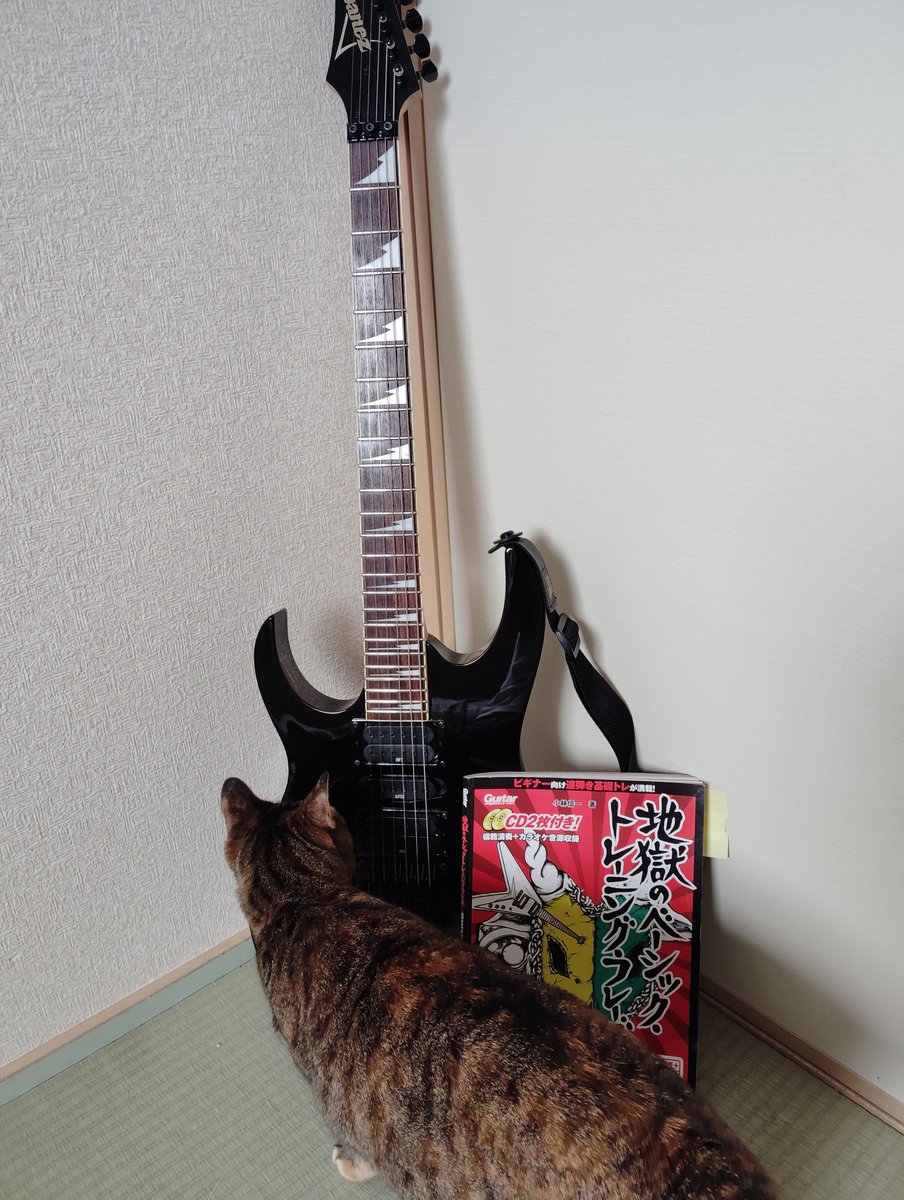 leftguitarcat's tweet photo. 今日はレッスンでした🎸
1年ぶりにギターでレッスンを受けてきた。そして1年ぶりの細い弦でのチョーキングで指先が痛くて悲鳴をあげてる😭
けど、レッスンは楽しかった👍 https://t.co/7zbxiEWMzW