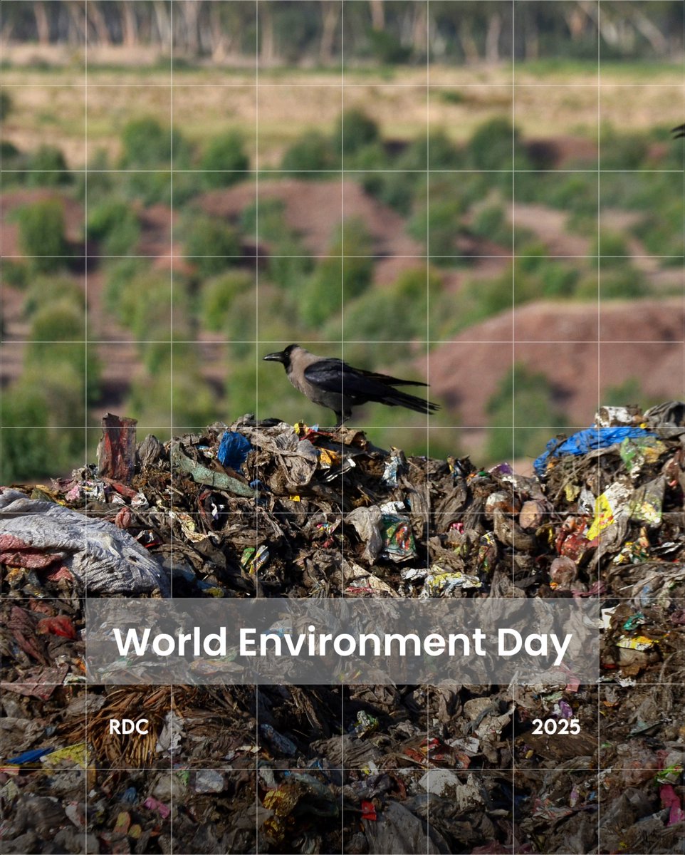 rdcmaldives's tweet image. This #WorldEnvironmentDay 2025, we commit to a future driven by eco-innovation, where technology and nature work together for the planet’s well-being.

#SustainableFuture #EcoSolutions #GreenInnovation