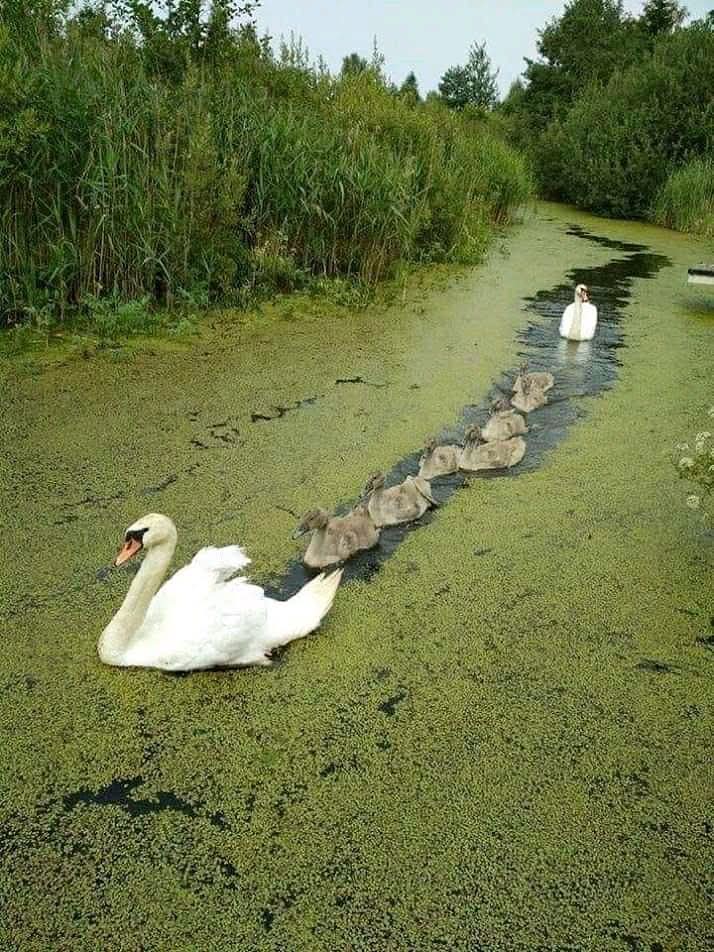 Adry ❥ 🇦🇷 tweet media