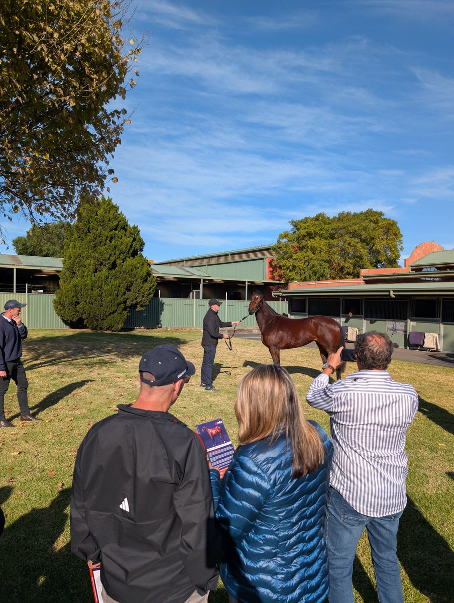 Michael Pratt (@mjpratt35) on Twitter photo Great morning out <a href="/lindsayparkrace/">Lindsay Park Racing</a> with <a href="/TMBBloodstock/">Mailbag Bloodstock</a> crew. Get in contact with me or email jono@themailbag.com.au if you want to race one with the crew!
In the Alabama and it should get to the races soon ๐๐ผ!
<a href="/dickosmailbag/">Jack Dickens</a> <a href="/The_Mail_Bag/">The MailBag</a>
#alabamaexpress #themailbagbloodstock Great morning out <a href="/lindsayparkrace/">Lindsay Park Racing</a> with <a href="/TMBBloodstock/">Mailbag Bloodstock</a> crew. Get in contact with me or email jono@themailbag.com.au if you want to race one with the crew!
In the Alabama and it should get to the races soon ๐๐ผ!
<a href="/dickosmailbag/">Jack Dickens</a> <a href="/The_Mail_Bag/">The MailBag</a>
#alabamaexpress #themailbagbloodstock
