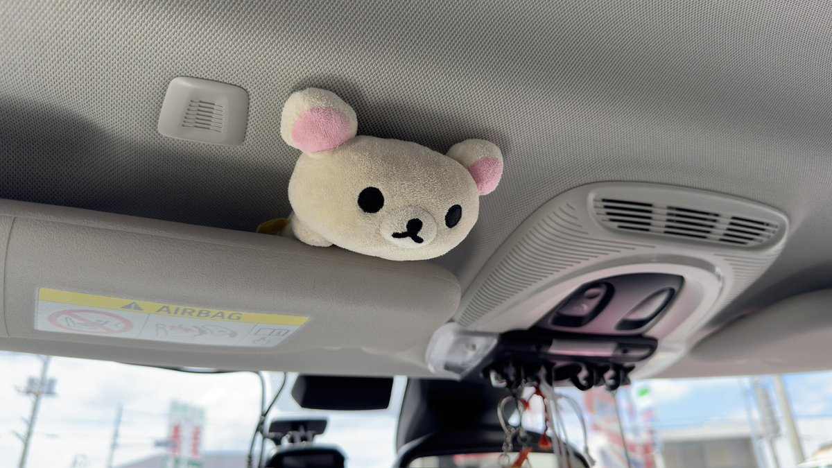 サンバイザーにコリラックマ挟んでるんだけどすごく可愛い✨