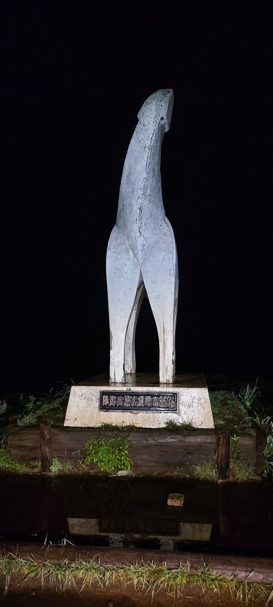夜の陣馬さんは怖い