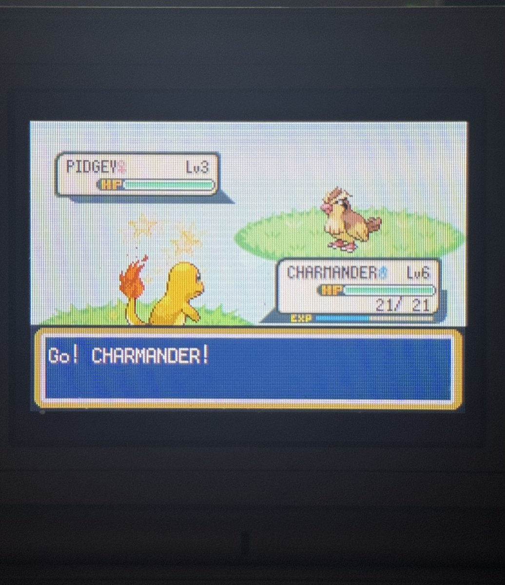 gregster022's tweet photo. Shiny Charmander found after 10,376 resets https://t.co/tdgqfj0zIp