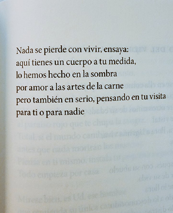 «Ahora sí que tú y yo estamos más lejos uno del otro
que dos estrellas de diferentes galaxias....» 
Enrique Lihn