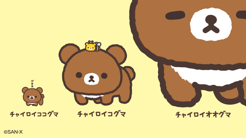 チャイロイコグマ【公式】 on X: 