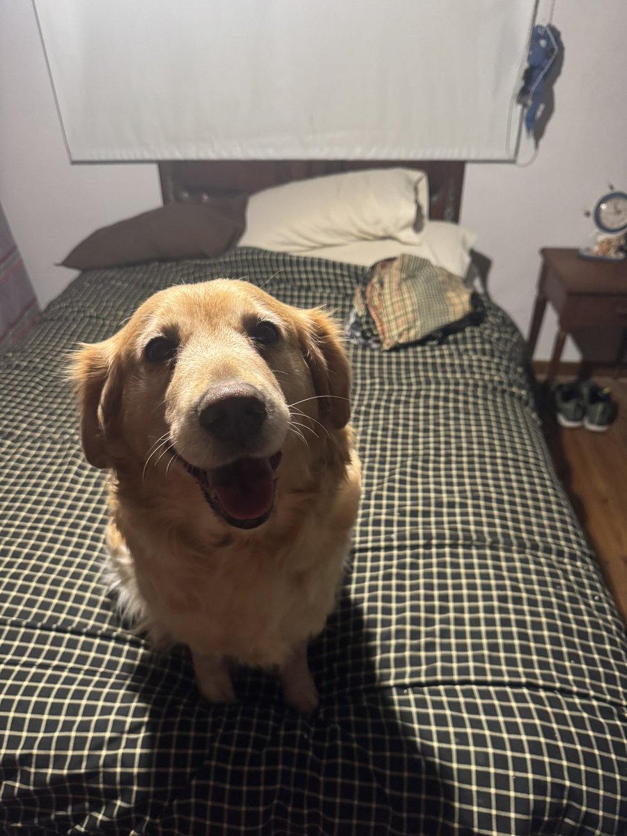 Al fin llegaste flaco, no puedo dormir siempre en el sillón.