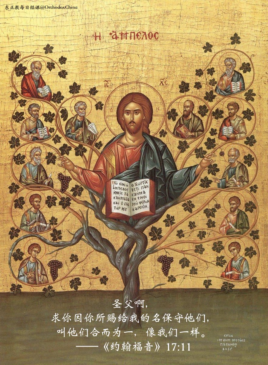orthodox_bible's tweet photo. 2025年6月1日，复活期第七个主日，纪念第一次大公会议的圣教父们，救主升天节后庆（Afterfeast of Ascension），本日免斋
本日经课：《使徒行传》20:16-18、28-36，《约翰福音》17:1-13
#聖經 #圣经 #東正教 #东正教 https://t.co/S8rKt7YF7F
