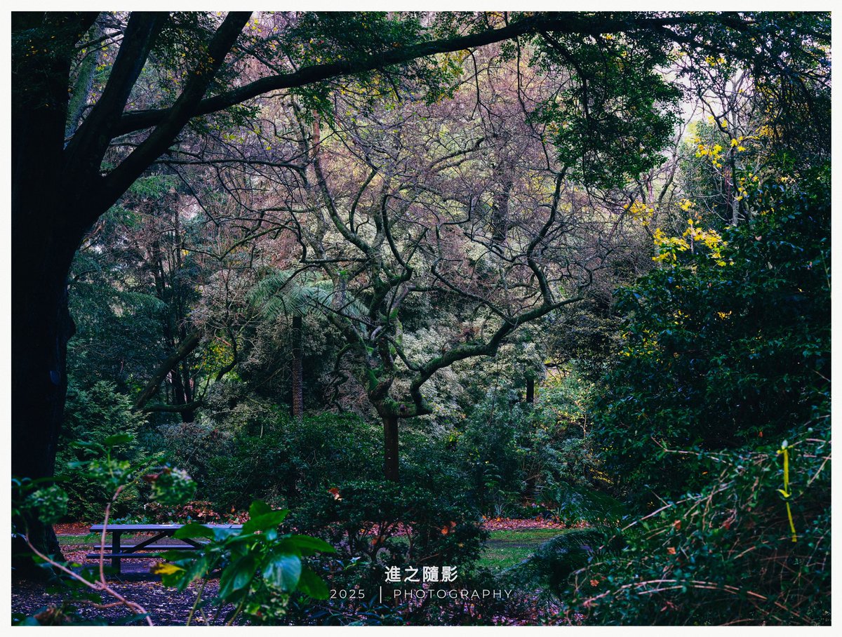 林間·陸