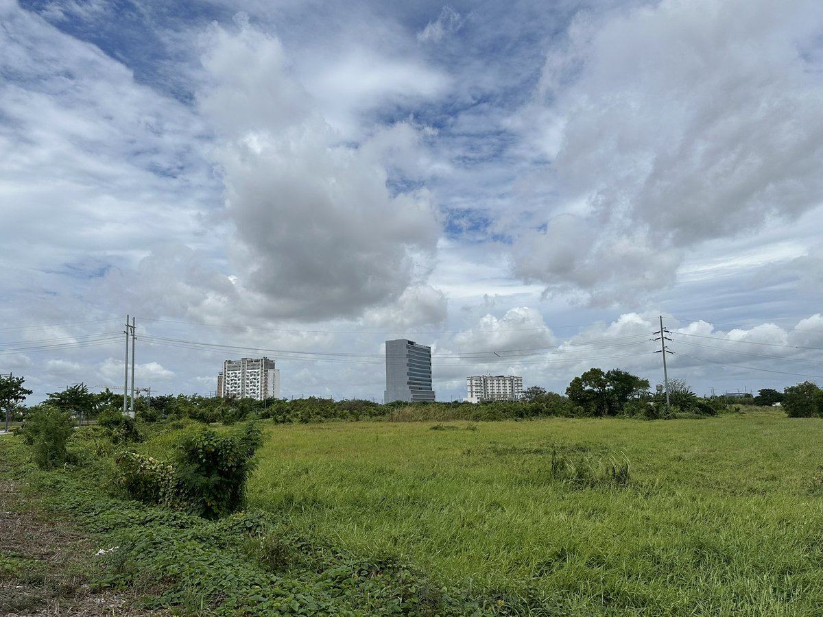 Jacob_338's tweet image. 今日はMaple Groveを中心に10km Runしました。Maple Groveの道路ですがキレイに整備されていてとても走り易かったです。しっかり汗かいてスッキリです。

Maple GroveはMegaworldさんが手掛けているプロジェクトですが、引き続き今後の開発がとても楽しみです。

#Running #MapleGrove