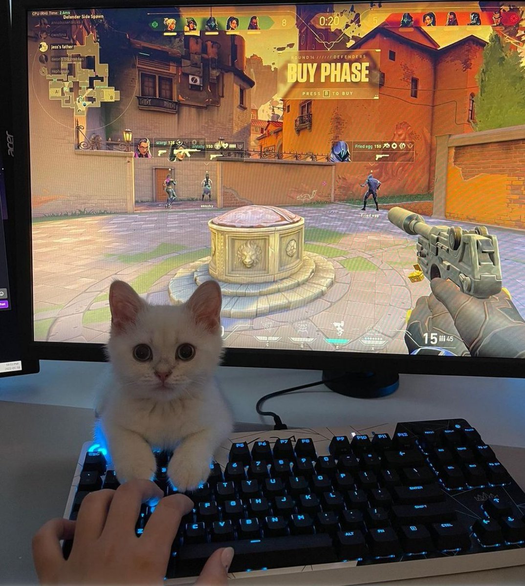 The Cutest way to play Valorant