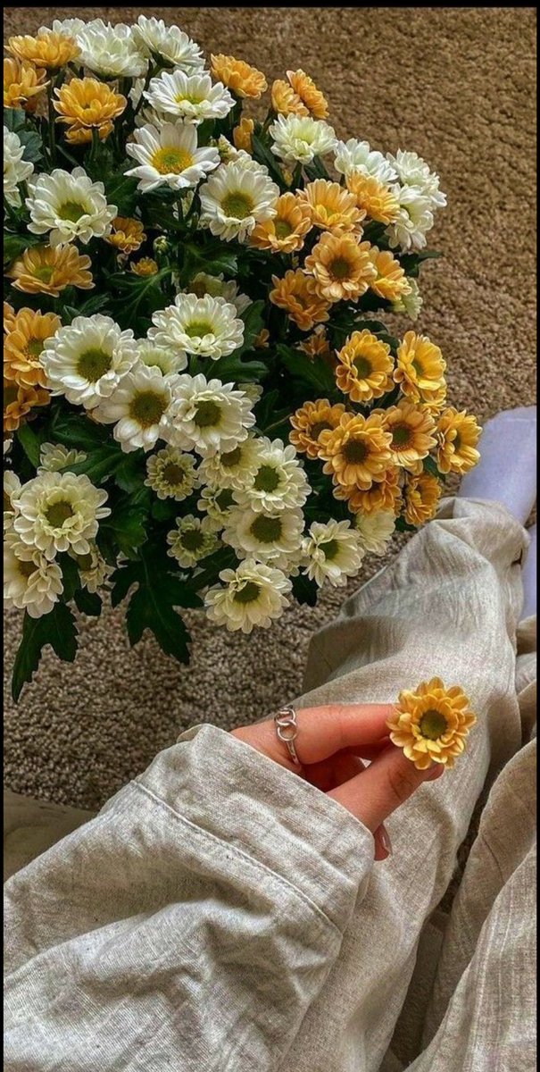 أحب فكره أن الحياه شاسعه وملونه ..
وأننا نملك طرق لانهائيه وخيارات عديده ..
لفعل مانحب ..🤍🌹
#صباح_الخير_والسعاده