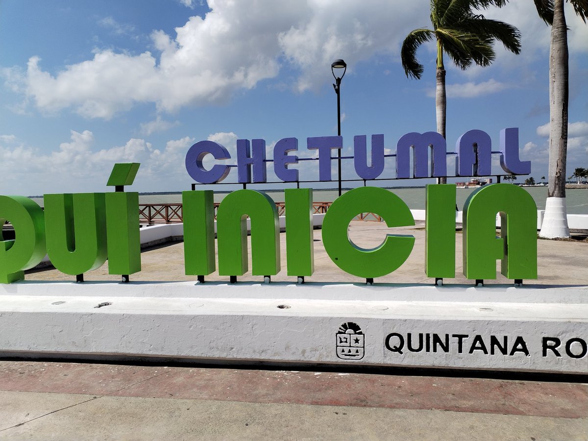 omar alpuche leal tweet media