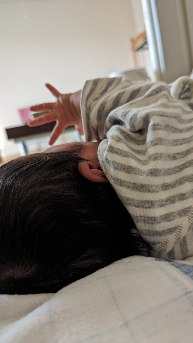 しばらくXを開かぬうちに、子を授かり、先日4人目を産みました。上の子たちのお見舞いとは名ばかりの奇襲を受けながら、助産院でぬくぬくしております。一つだけ言わせて…！！！！帰りたくねぇ…！！！！