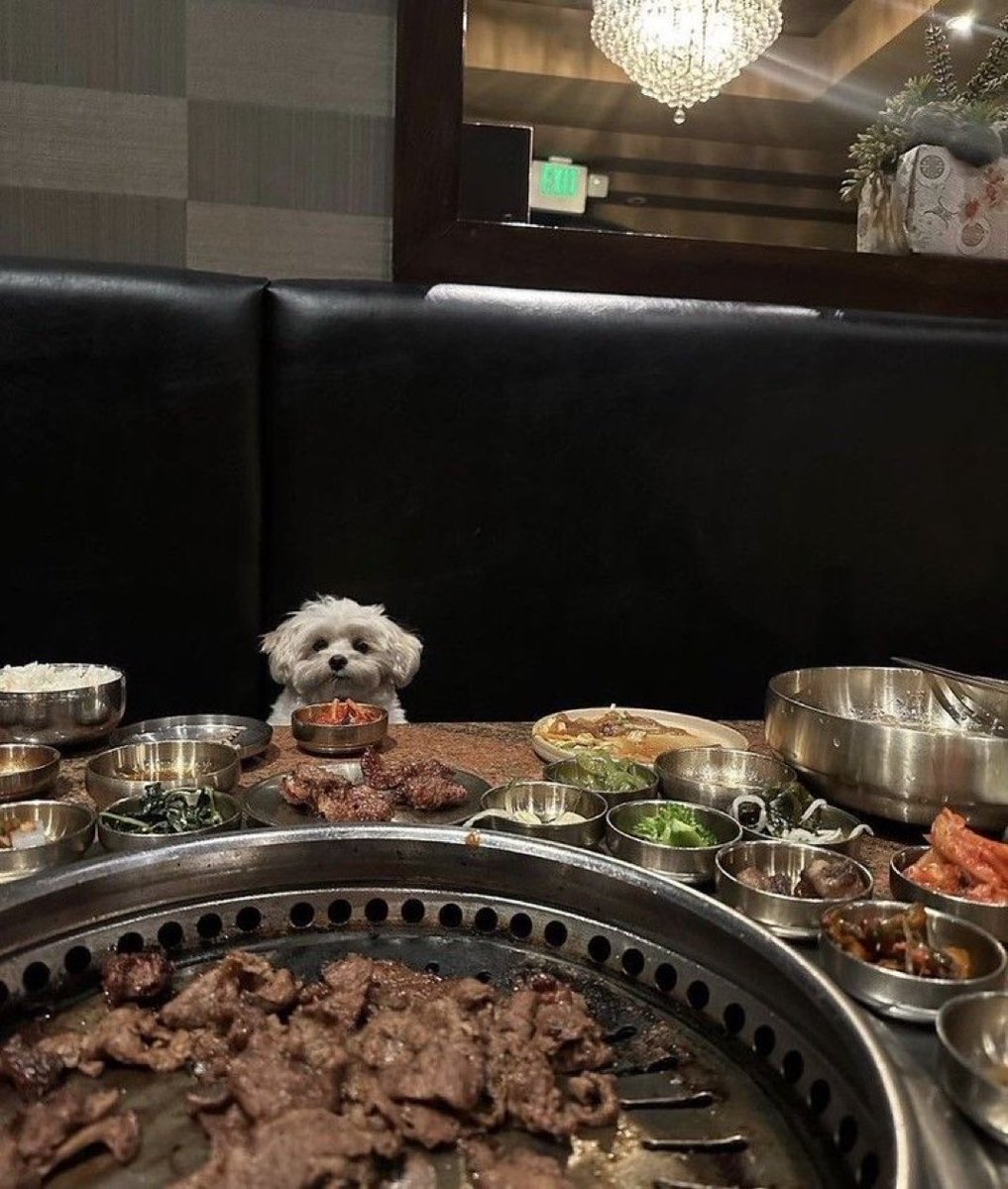 깨둥이! (@kkaedoong2) on Twitter photo 