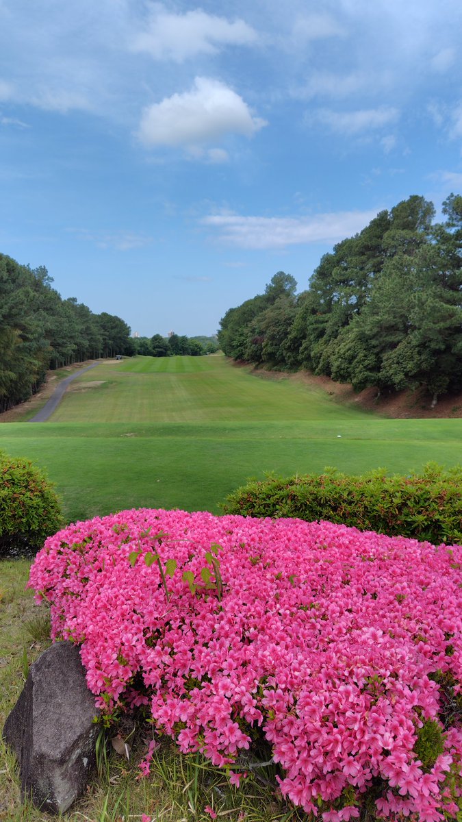 SPADA502's tweet image. 昨日のスコア。
ティーショットがまたおかしくなった🥲
パターもアイアンも、いいとこなし😵
OB6、砂7、3パット3、4パット1

またやり直しだなぁ🤔
周期的に悪くなる、学習能力低すぎるて😭

#ゴルフ好き