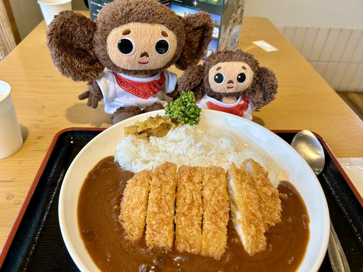 Cheburashka_ak0's tweet photo. 大菩薩嶺⛰️ https://t.co/AH7O0Fzr8r