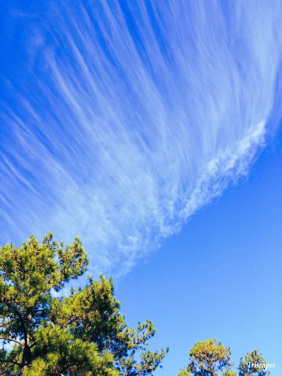 Iriscapes's tweet image. sometimes
I ask the heavens
to help me
smooth out
this troubled heart