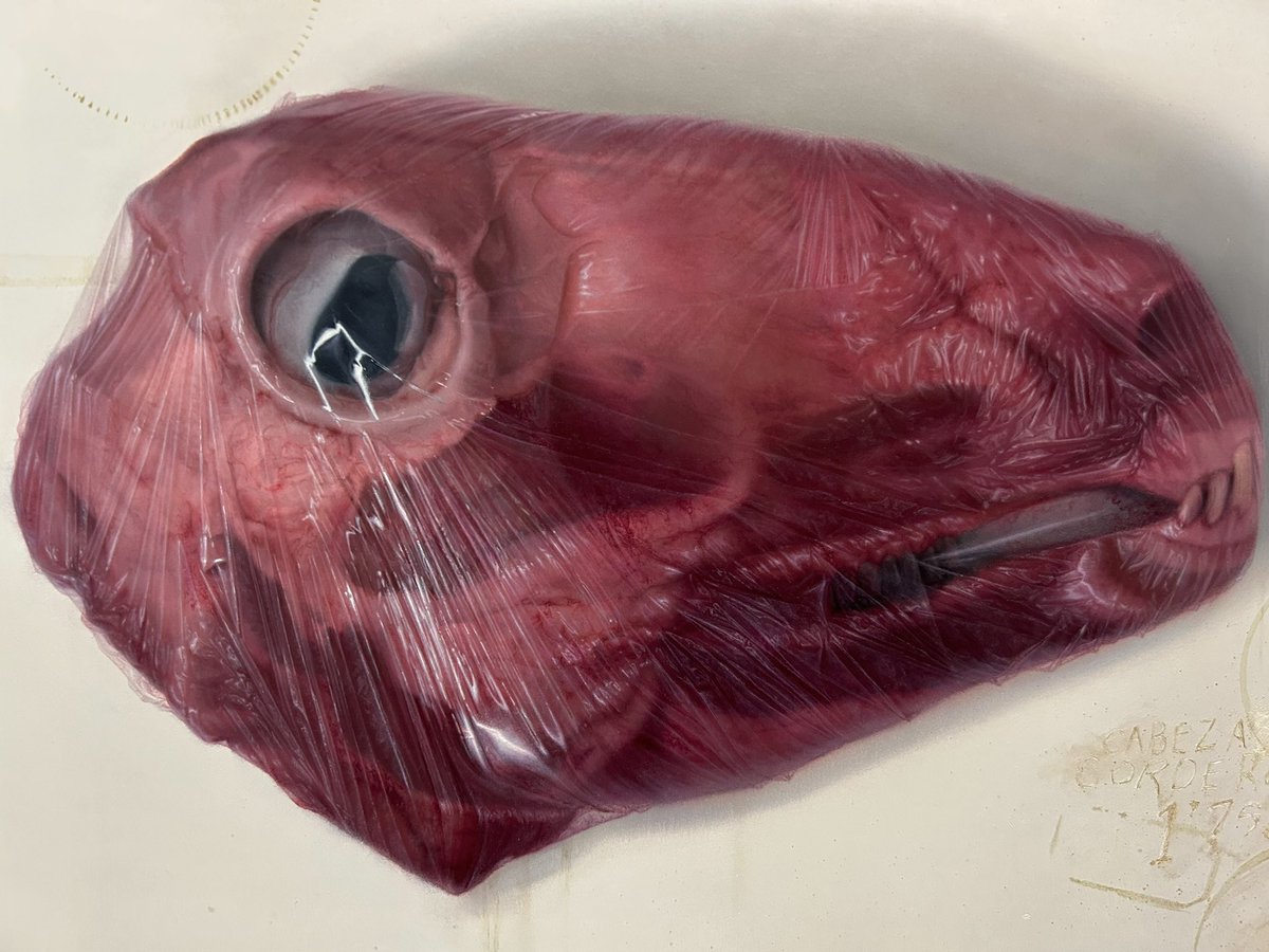 ラップに包まれた子羊の頭を描きました