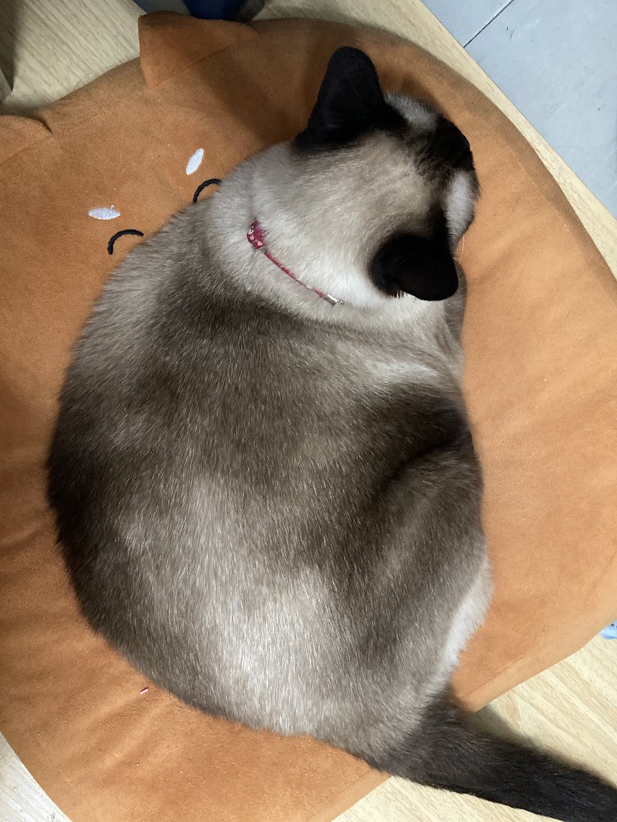 ฝนยังไม่ทันตกเลย อึ่งออกมาแล้ว