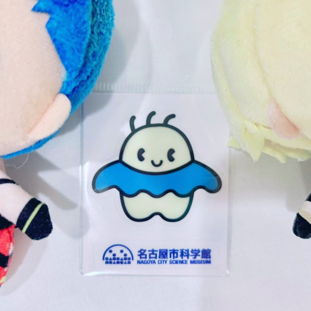 さらば名古屋…ありがとうプ口メア…