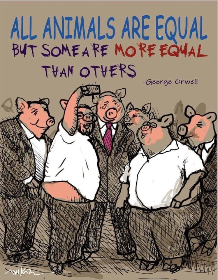 Гахайн гэр бүлээс салцгаая! Нэг дэх өдөр НЭГДЭХ өдөр!