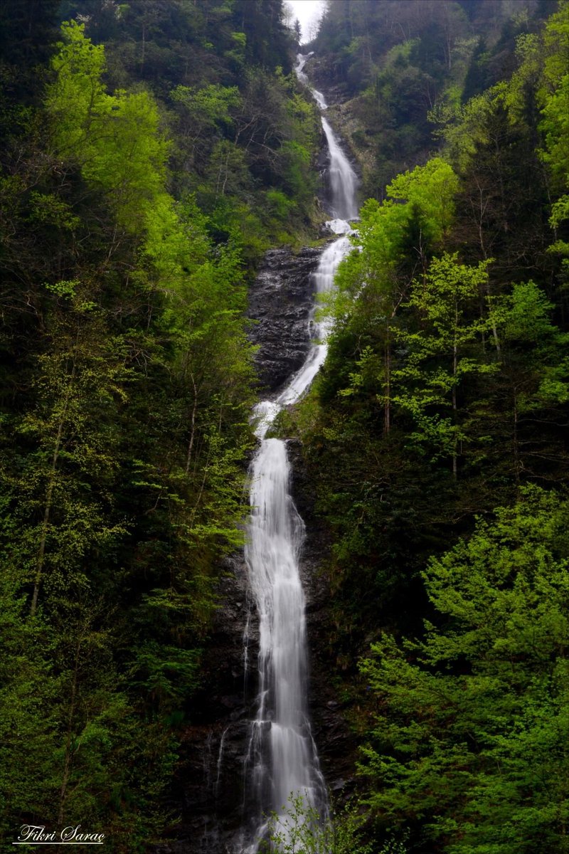 GÜNAYDIN değerli arkadaşlarım.
Mutlu ve sağlıklı bir Pazar günü diliyor, hepinize selam ve sevgilerimi iletiyorum.
Artvin Borçka Otingo Vadisi