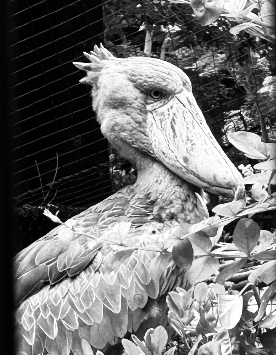 大崎選手お誕生日おめでとうございます🎊
お誕生日と知ってか知らずか、今日は結構動いてました。