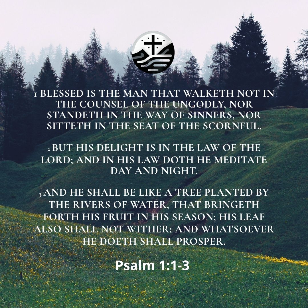 CristianoBlog1's tweet photo. Happy Sunday &amp; welcome June! 🌳 Psalm 1:1-3 reminds us: true blessing is like a tree by the rivers of water, rooted in God's Word. It yields fruit in its season &amp; prospers. Nourish your soul today! #Psalm1 #BlessedLife #WordOfGod #Sunday #Faith https://t.co/jAMzeZQPGS