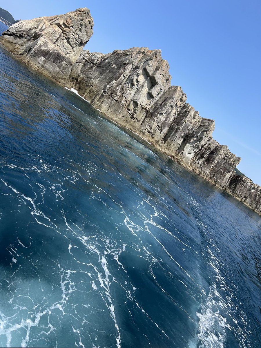観光満喫中〜！🛥️🌊🌸