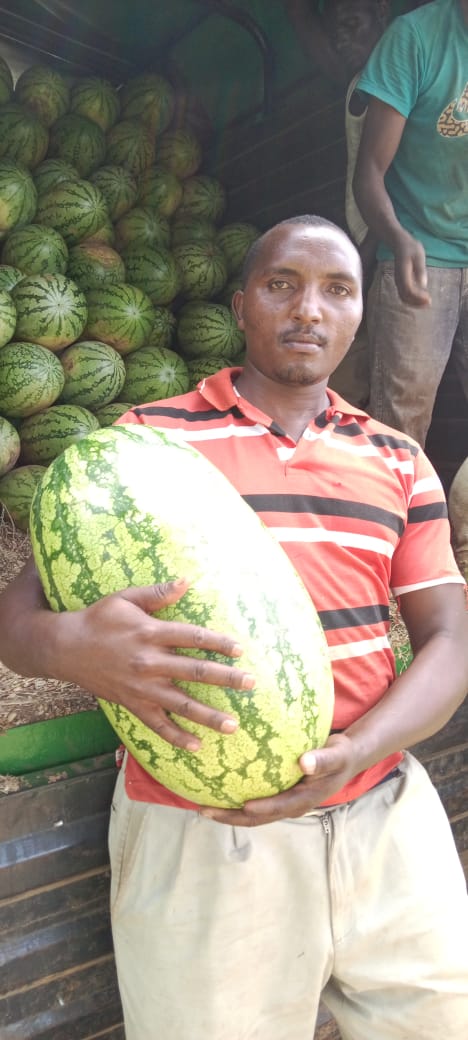 duke the farmer 🍉 tweet media