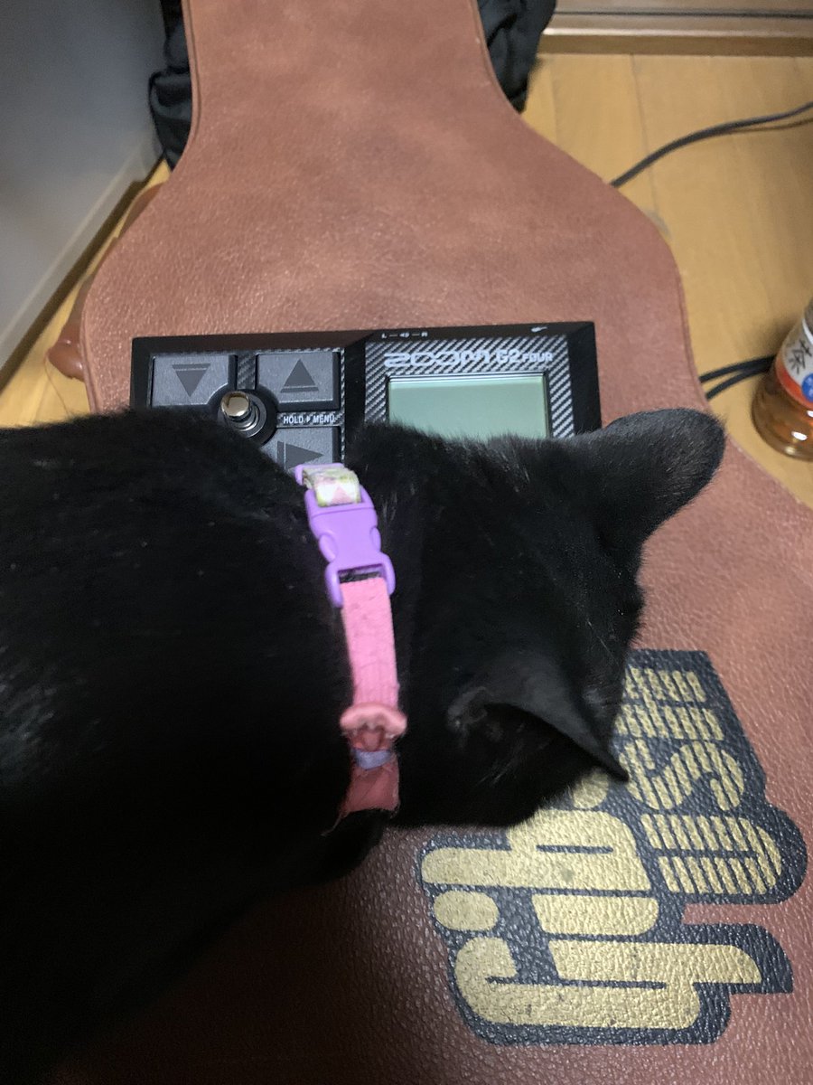 yu10320's tweet photo. 届いた- ̗̀📦 ̖́-MNG✨
俺より先にいじりたがってる奴がいる🐈‍⬛🙄 https://t.co/rsEKSRw6EE