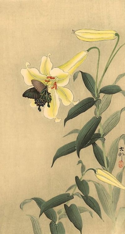 "Green was the silence,  
 wet was the light, 
 the month of June 
 trembled like a butterfly."                     
  ― Pablo Neruda, 100 Love Sonnets 

 [images: Hasui Kawase / Koson Ohara]