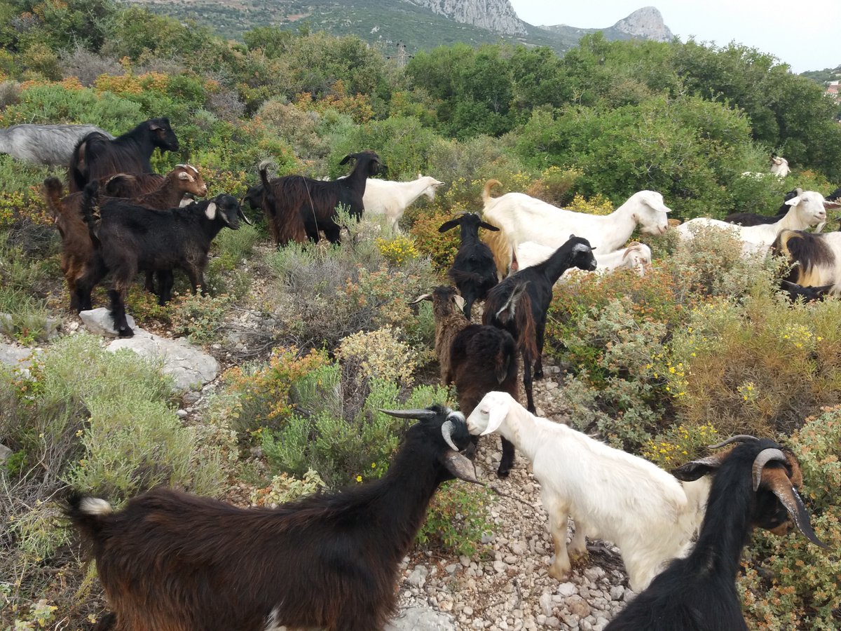 GÜNAYDIN İYİ PAZARLAR.