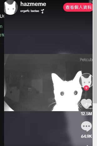 MonkeyJcck's tweet photo. tiktok发光猫 #Flashcat GBMgpSmD1WoTt3ymktJT8NNzNz1eBz1cHWrfPLeEpump
买了点,微涨舒服. https://t.co/qWYS6JKEMR