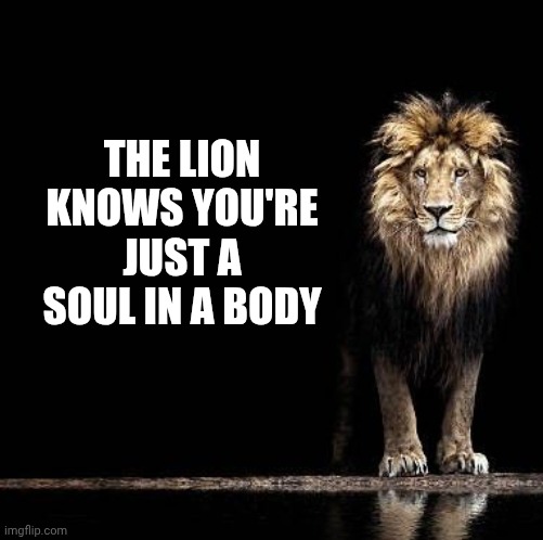 The Soul Whisperer (@desoulwhisperer) on Twitter photo 