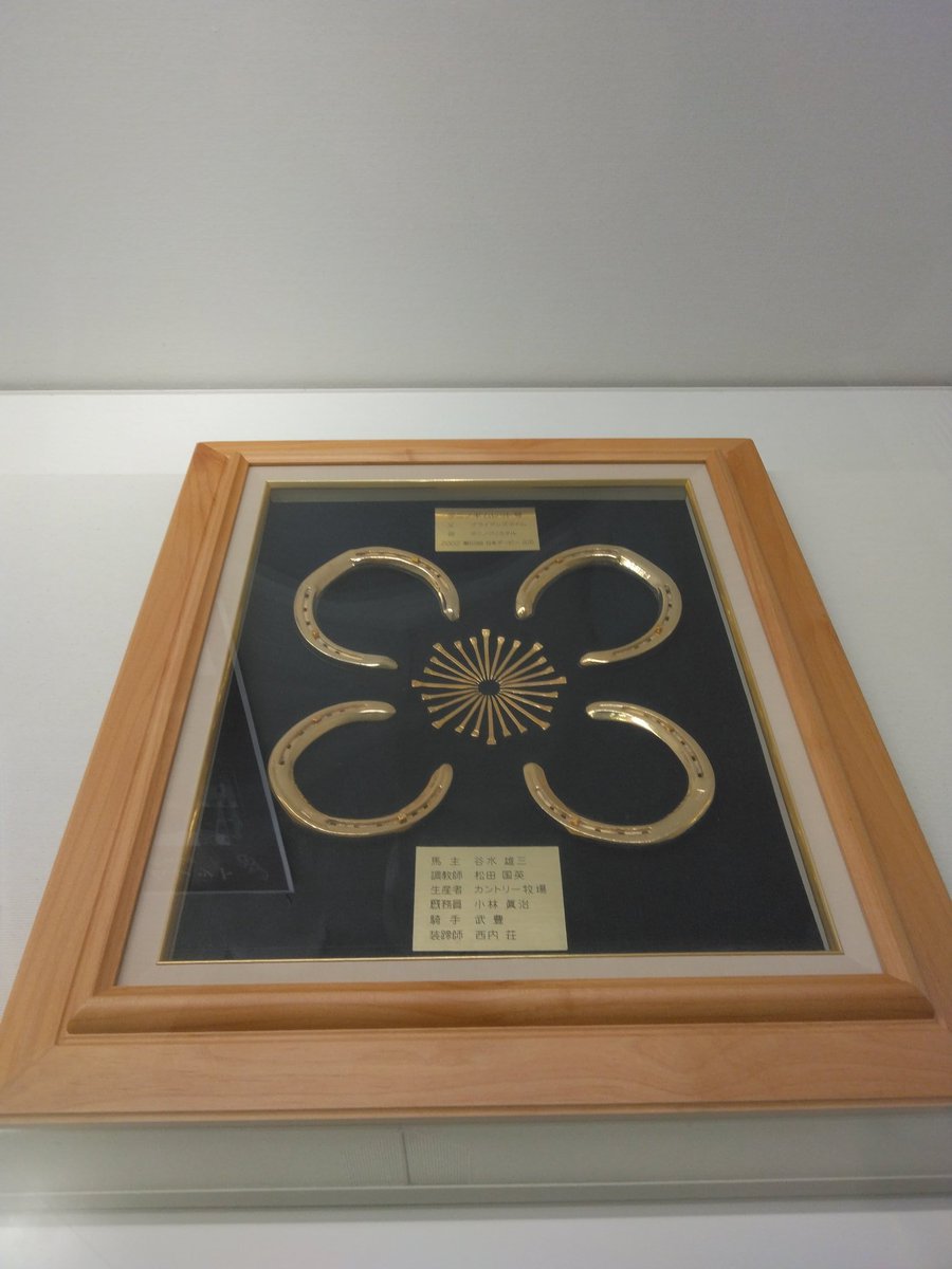 ナリタブライアン 蹄鉄 レプリカ JRA 競馬 ナリタブライアン 引退記念 蹄鉄 フォトセット - メルカリ