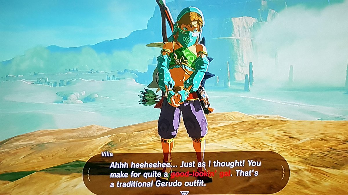 transphobes: hollywood wants hunter schafer to play princess zelda... whatever happened to the trad values   of the zelda franchise???

a canon Link storyline: