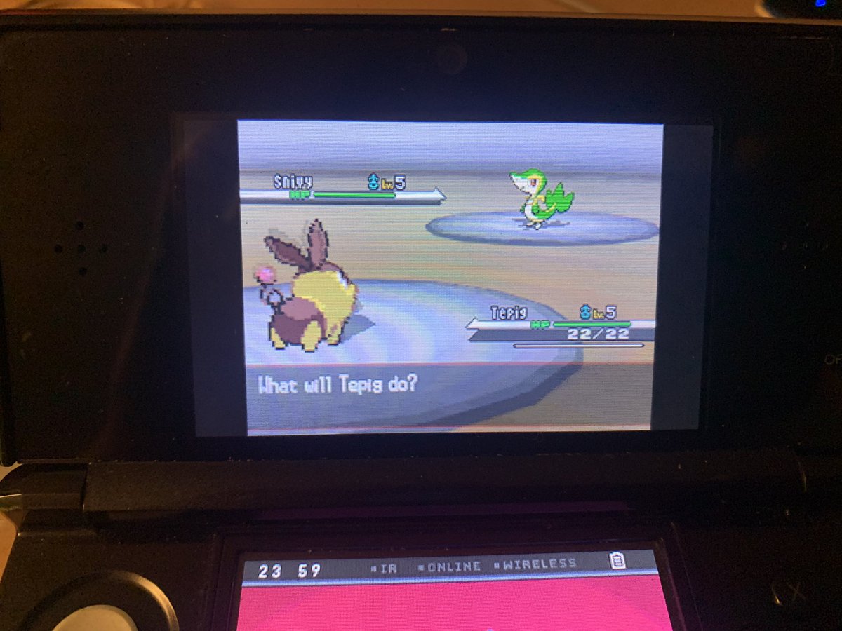 Cuno61's tweet photo. 1496 resets for this golden boy https://t.co/PM3EgAIZpv