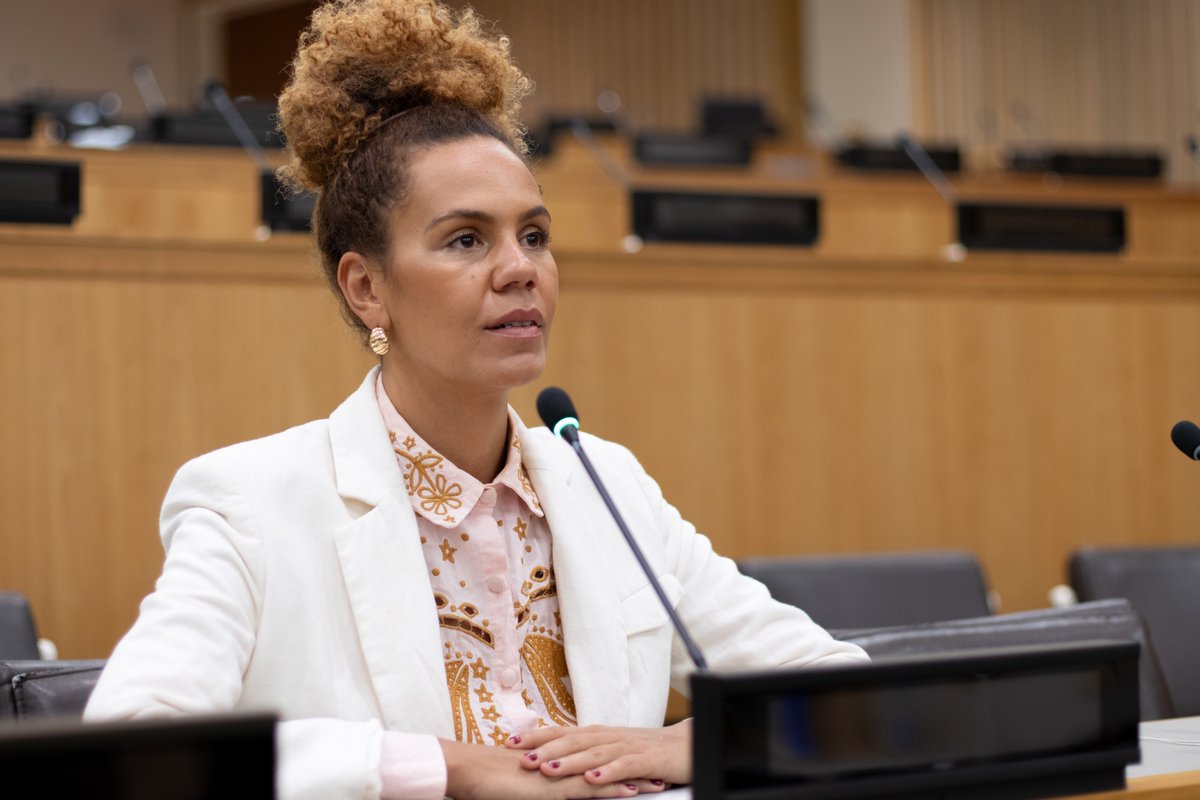 Geledés&amp;#8217; UN Advocacy Creates People of African Descent Stakeholder Group &lt; IDN-InDepthNews indepthnews.net/geledes-un-adv…