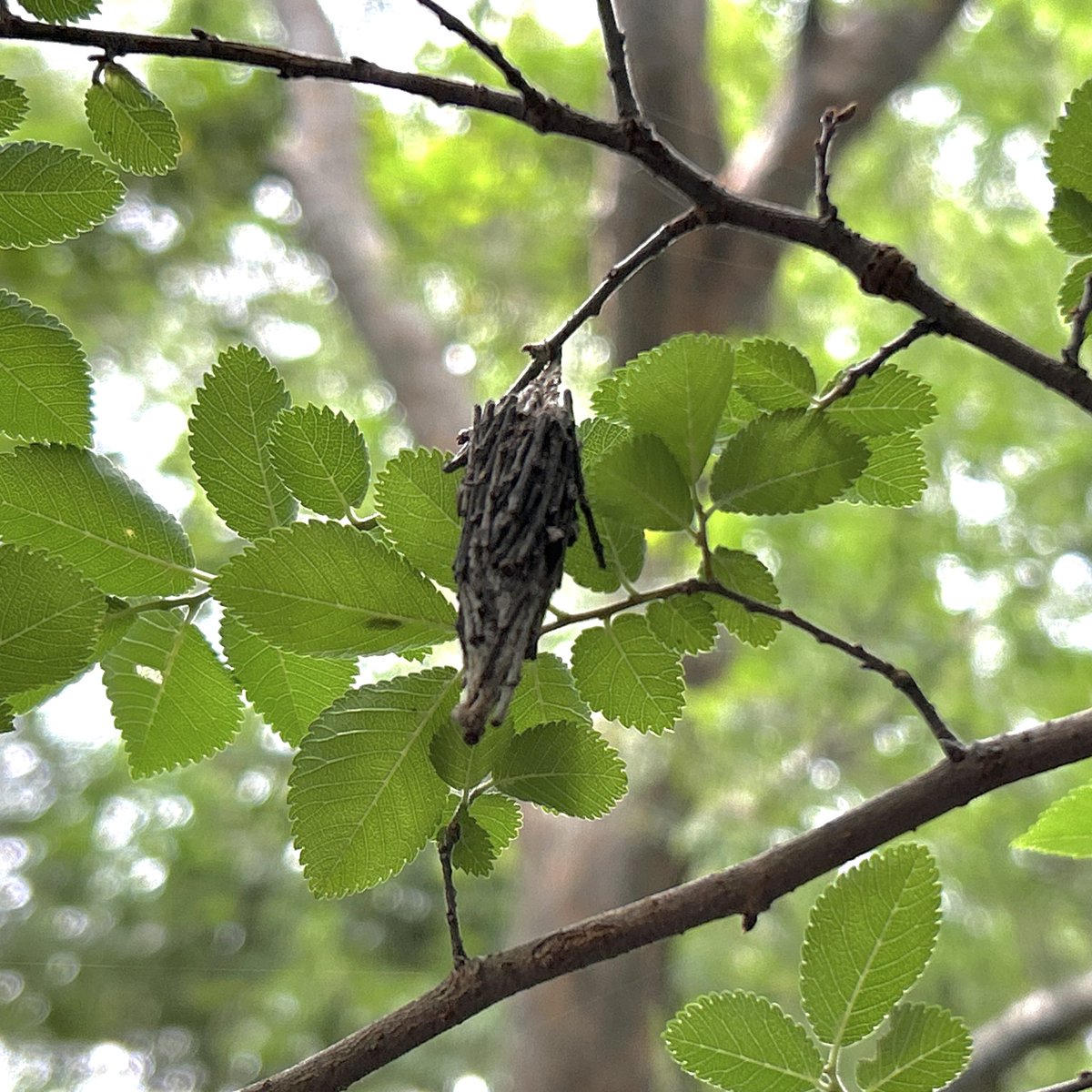 Found your Heaven? tweet media