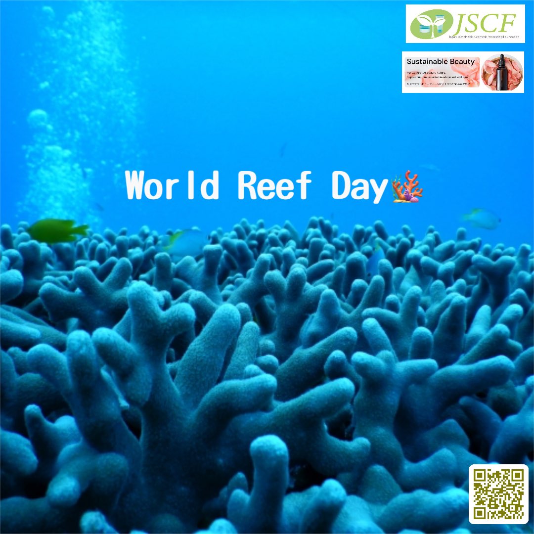 #世界サンゴの日🪸
#サンゴ は #絶滅危惧種 。70-90%がすでに絶滅の危機に⚠️ #気候変動 だけでなく、人による #化学物質汚染 が関係しています。UVケア製品に含まれる一部の #紫外線吸収剤 や #プラスチック 原料/容器など、化粧品や日用品でもできることがあります💡
サンゴ🪸海🌊を守ろう❣️