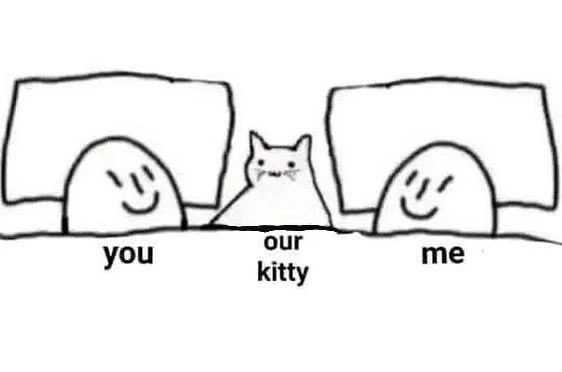PunchingCat's tweet photo. https://t.co/3mtkUfYH5K