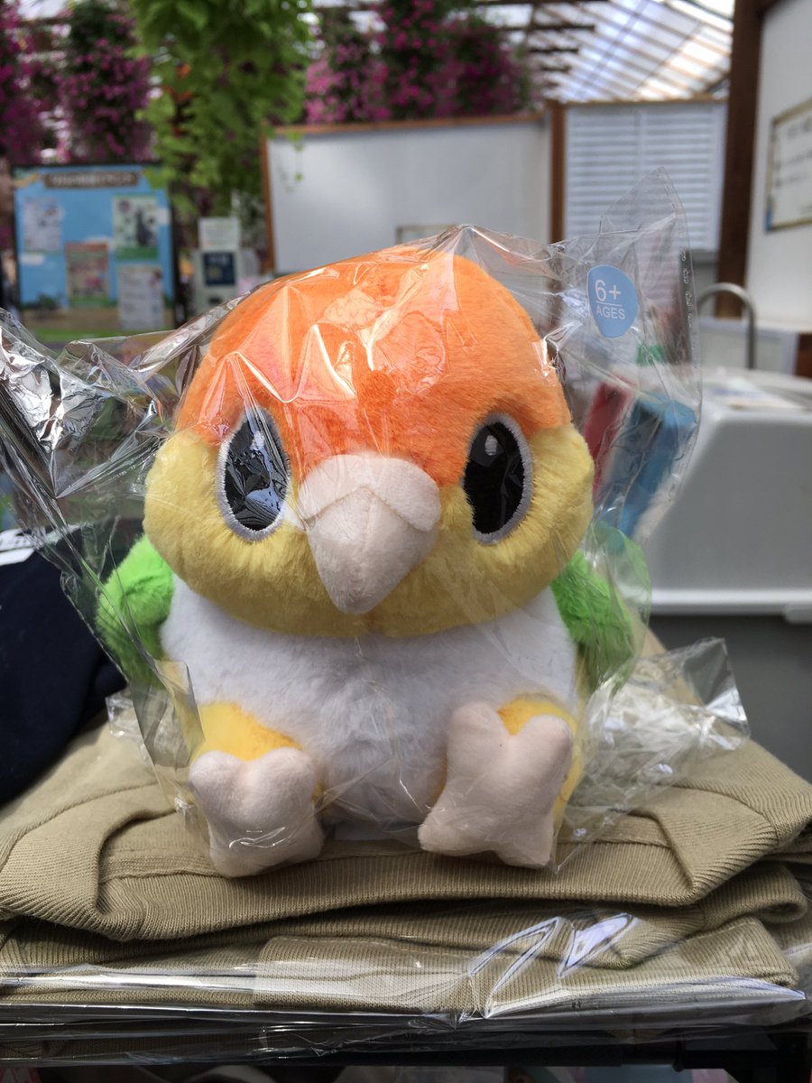 piyopiyogao_'s tweet photo. かわいいかわいいおちるたんお迎えしちゃいました♪
かわいいねぇ♪
#ことり万博
#おちるたん
#NEGUSE https://t.co/bm9xOJz0oK