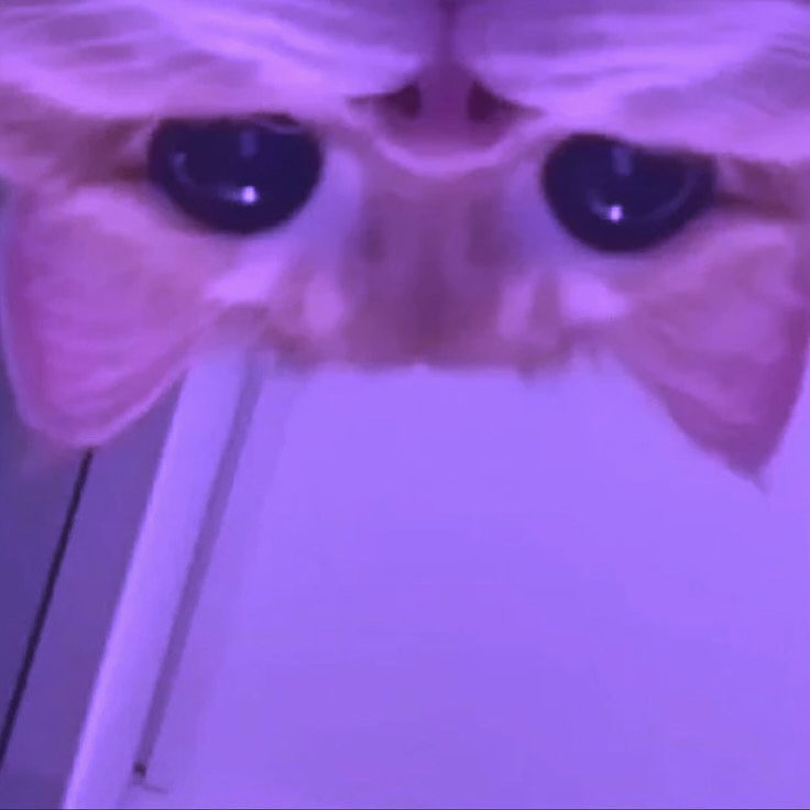 Yes you
Choose encryption today
Choose Arcium 
Say GMPC