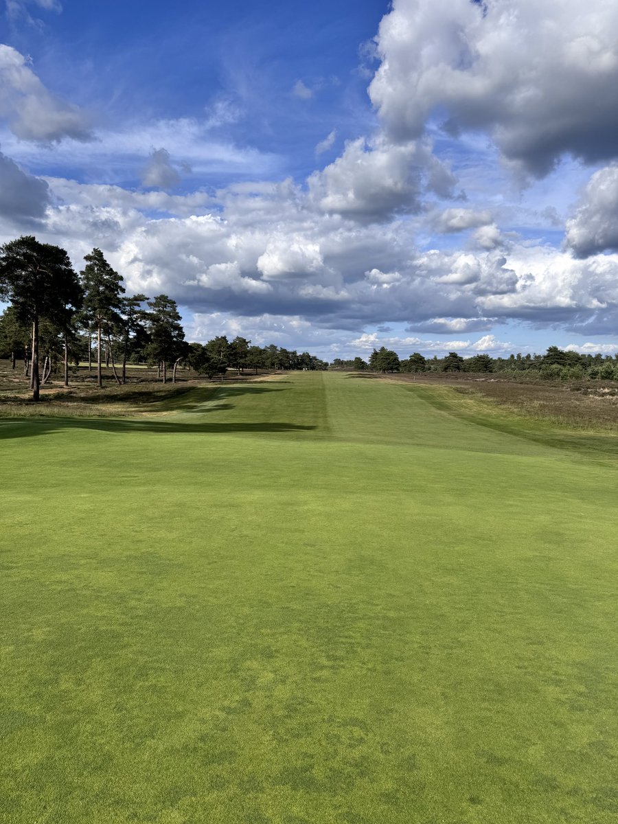 Timothy lines tweet media