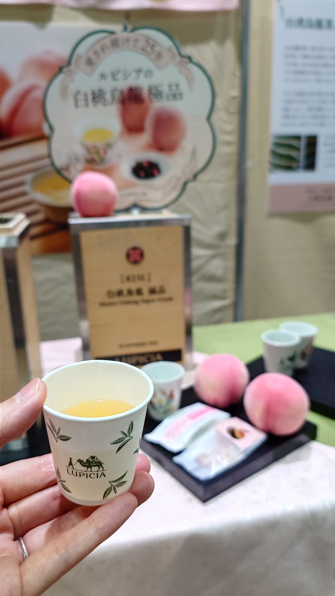 洋書　TEA 紅茶愛好家 洋書 TEA 紅茶愛好家