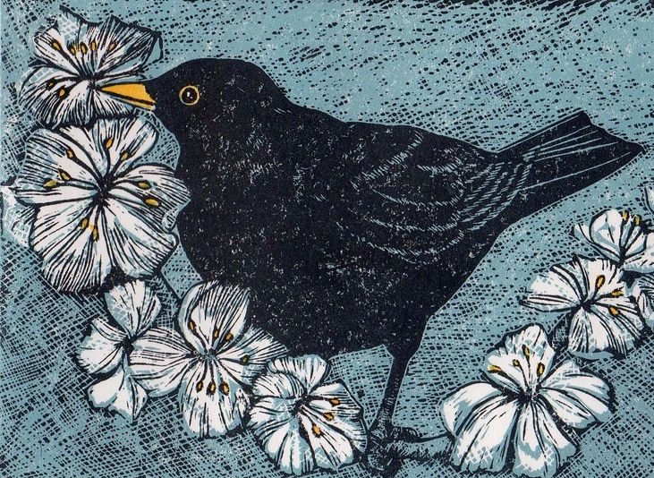 Sarah Bays,contemporary artist, printmaker, living in Norfolk, UK producing prints from a small etching press on a tea trolley her dining room and is inspired by local nature.... #ReframingWomenPrintmakers